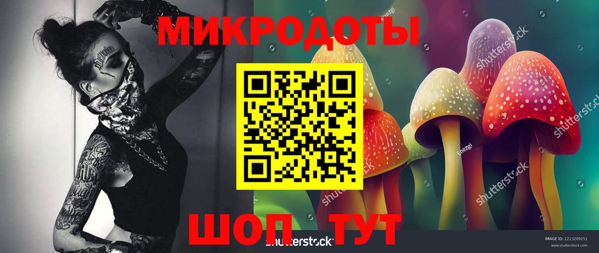 Архангельск  Псилоцибиновые грибы прущие грибы  Вход с VPN 
