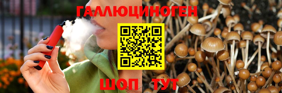 Псилоцибиновые грибы Cubensis Архангельск