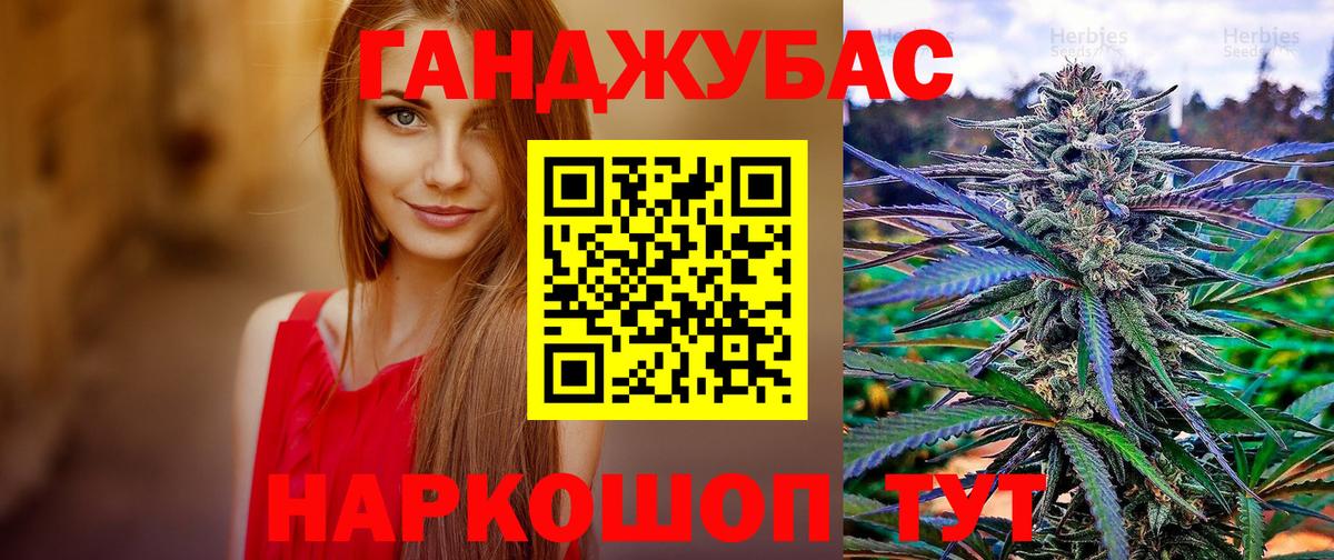 Бошки Шишки план Архангельск